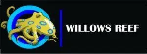 Willows reef