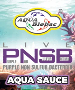 PNSB Aqua Sauce - Image 2