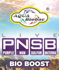 PNSB Bio Boost - Image 2