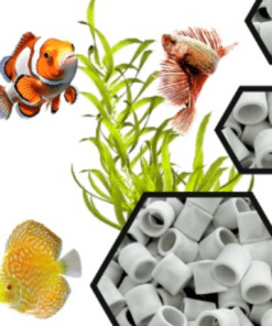 AQUA BIOLIFE Cepore-X 25mm Sintered Glass rings