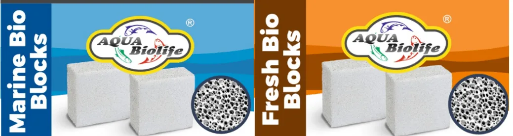 AQUA BIOLIFE Porous Ceramic Blocks for Filtration
