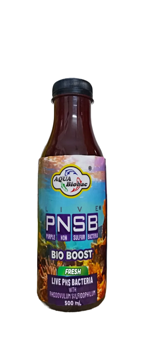 PNSB Bio Boost+ (Fresh) - Image 2