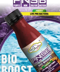 PNSB Bio Boost+ (Fresh)