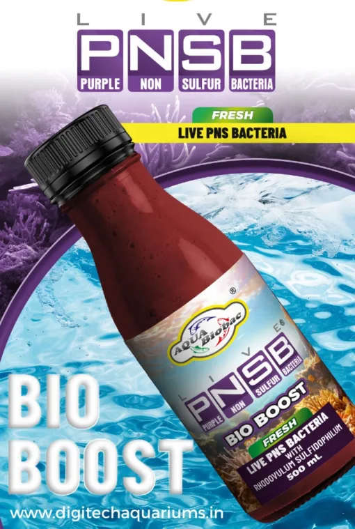 PNSB Bio Boost+ (Fresh)