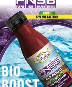 PNSB Bio Boost+ (Fresh)